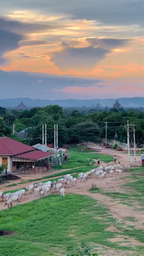 bagan7|BAGAN7 အထိုင်ဂိမ်းများ.